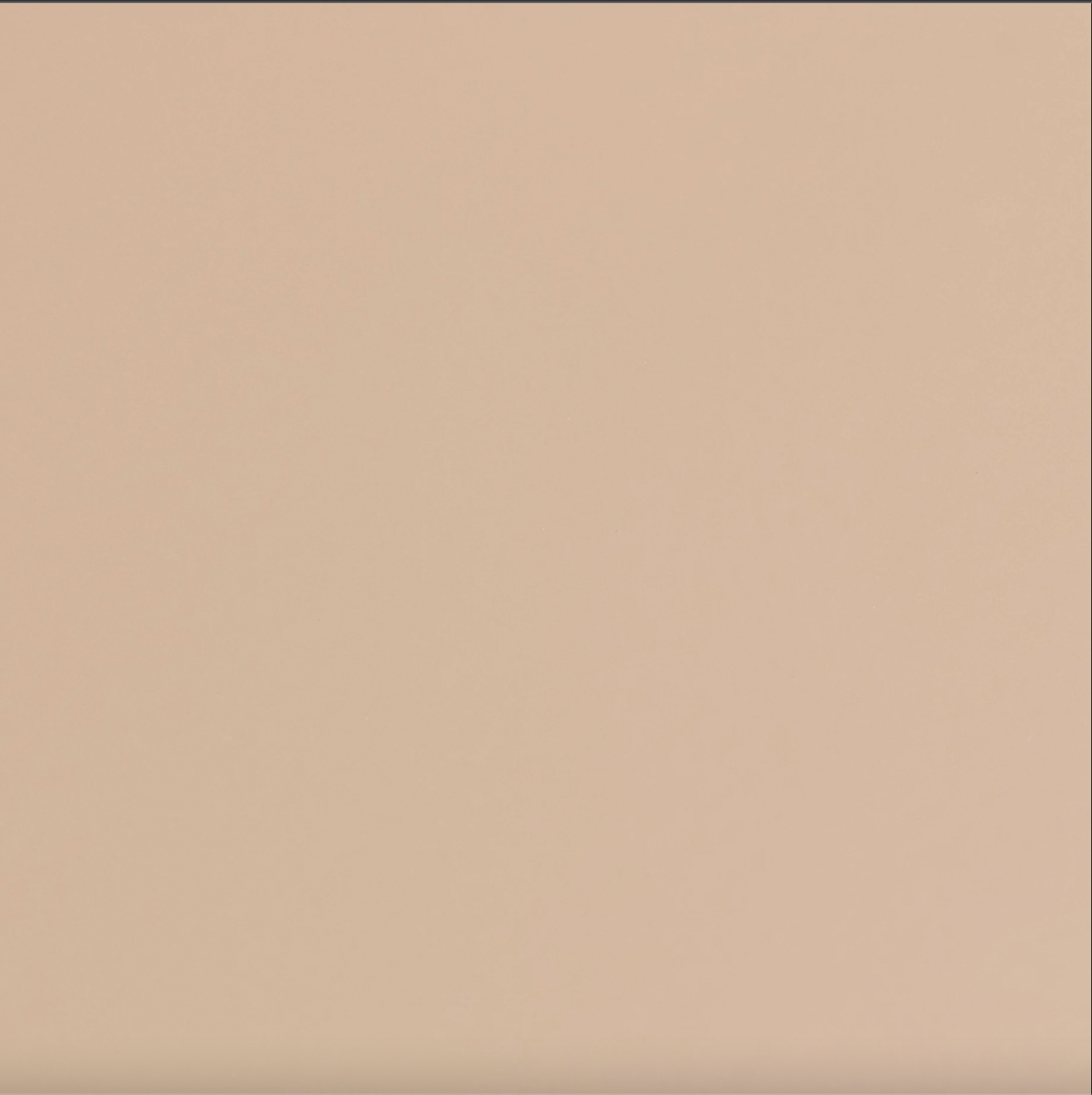 Boîte de rangement | TOYO STEEL T-190 beige