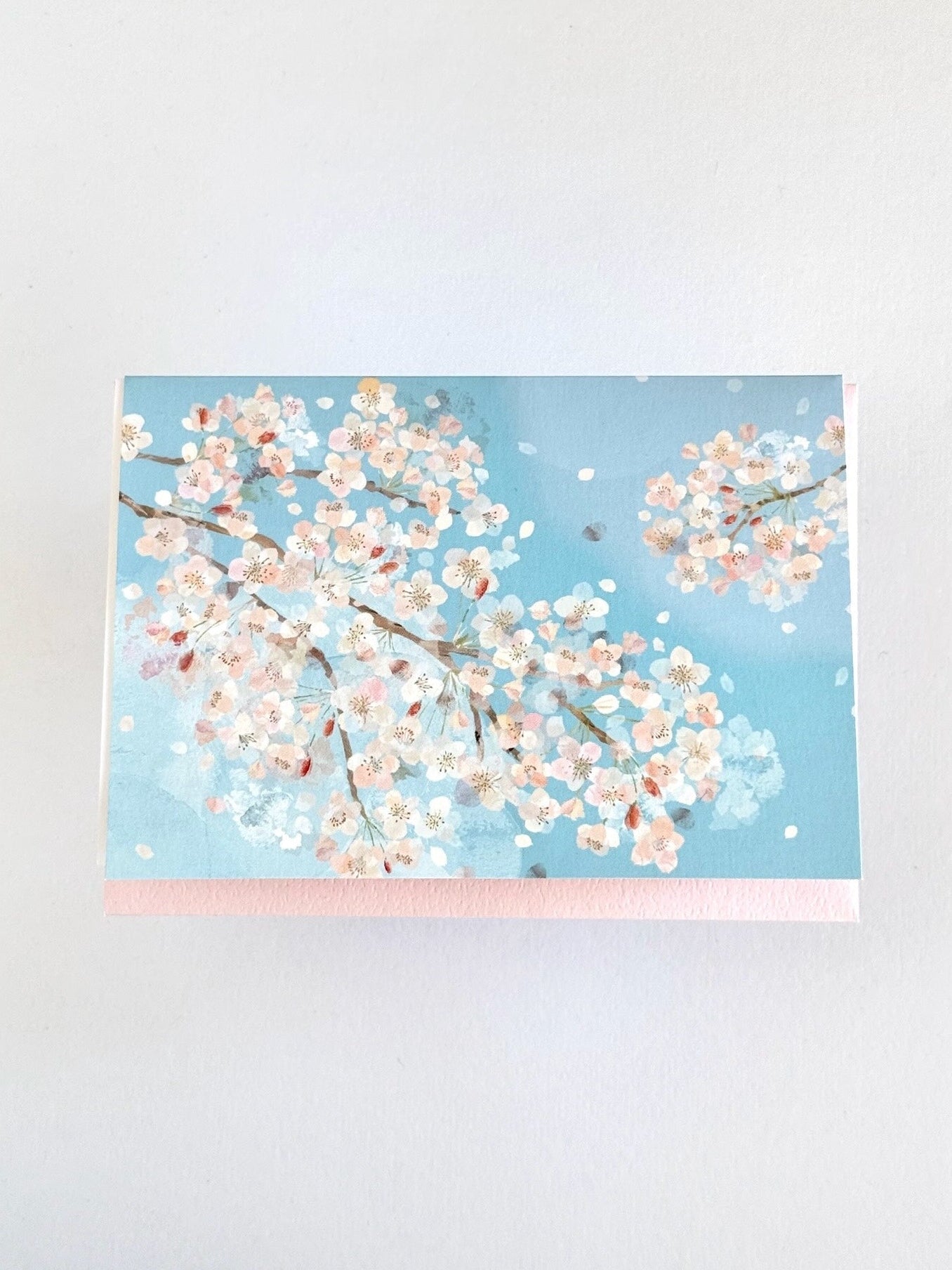 Carte | Sous les cerisiers en fleurs
