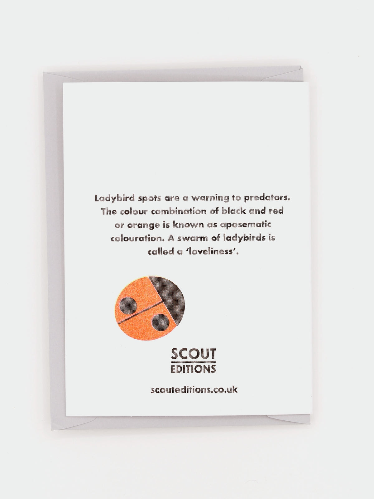 Mini-carte | Coccinelles