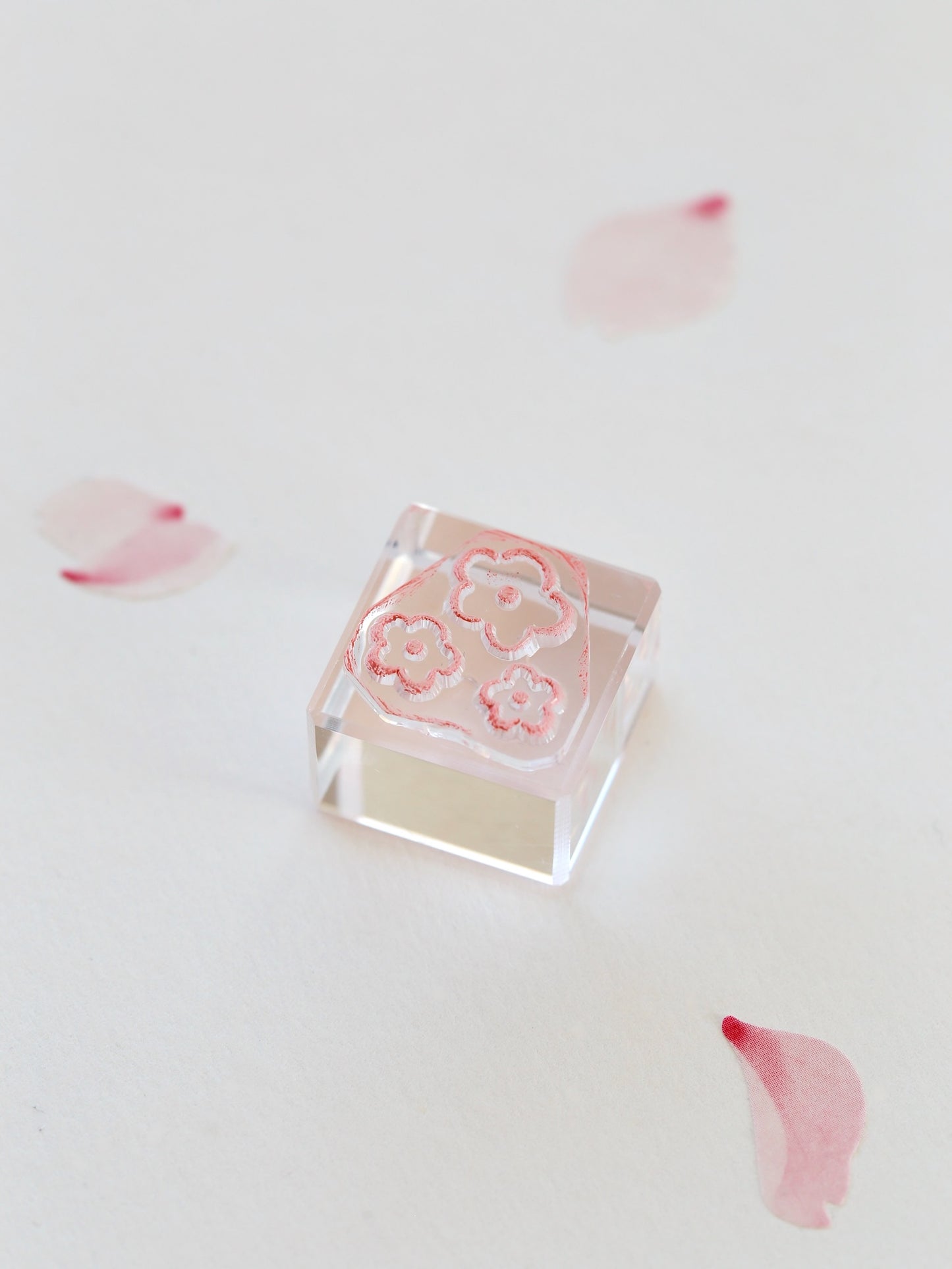 Tampon | Fleurs de sakura
