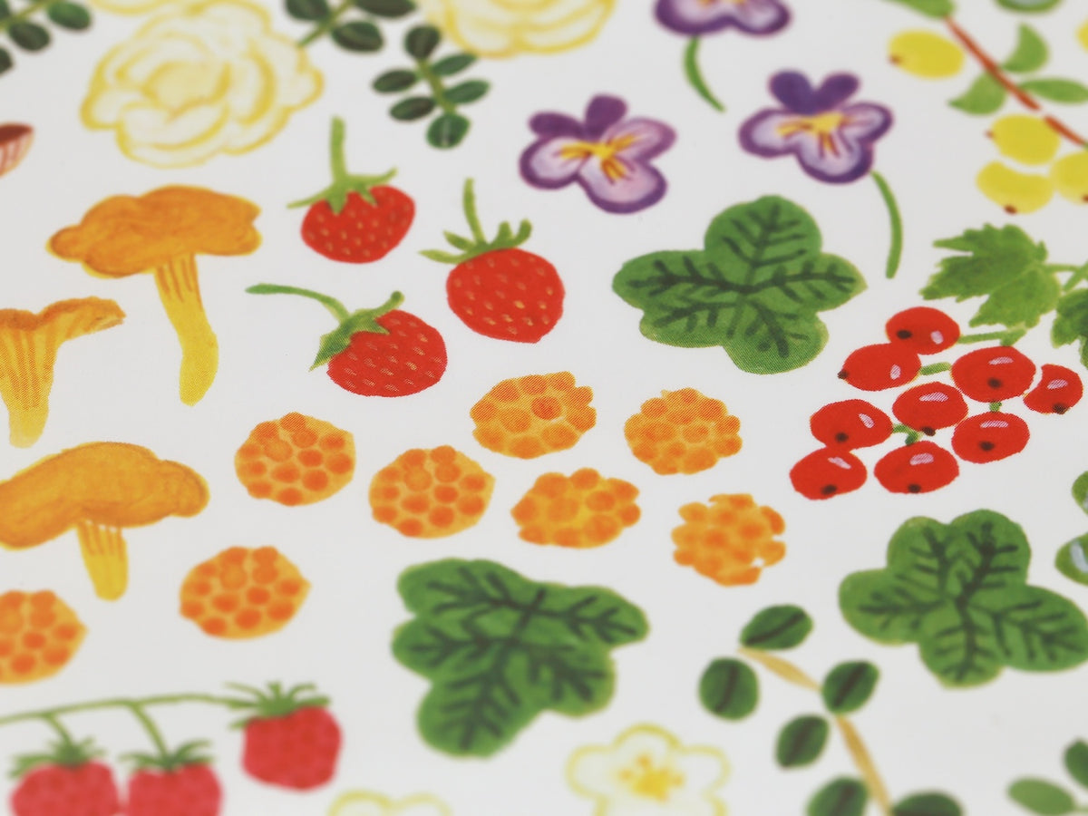 Carnet Midori B6 | Promenade dans la nature