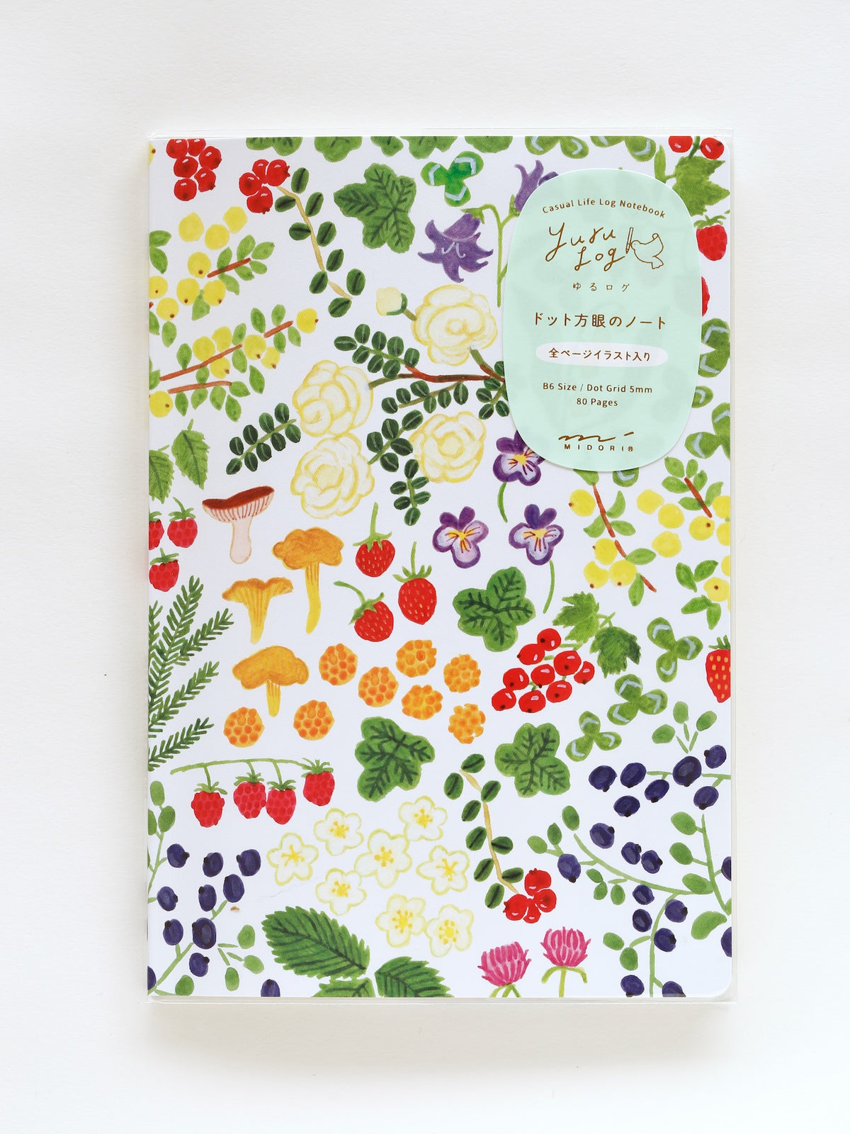 Carnet Midori B6 | Promenade dans la nature