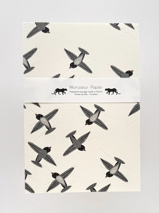 Carnet moyen | Monsieur Papier Hirondelles