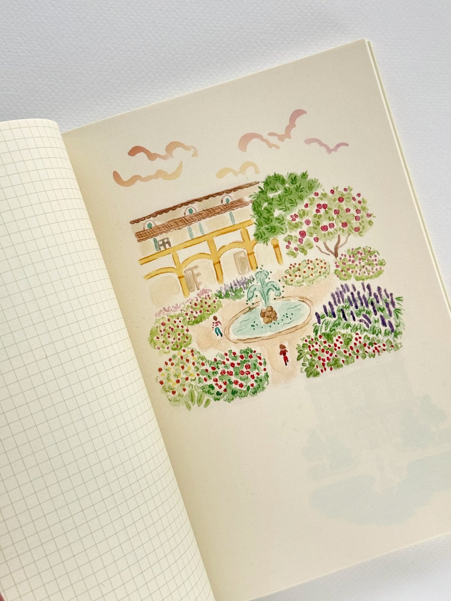 Carnet de voyage illustré | Provence
