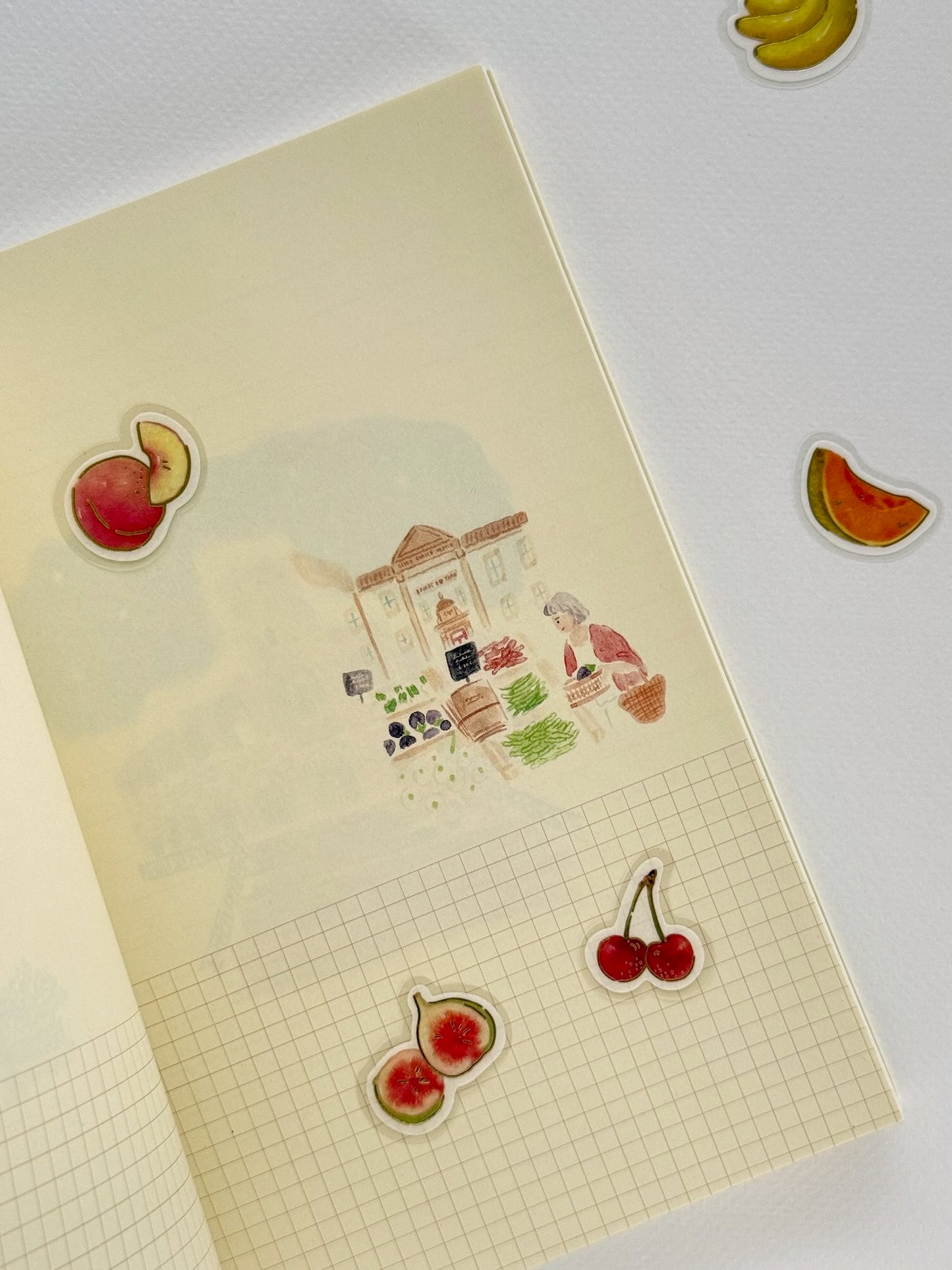 Carnet de voyage illustré | Provence