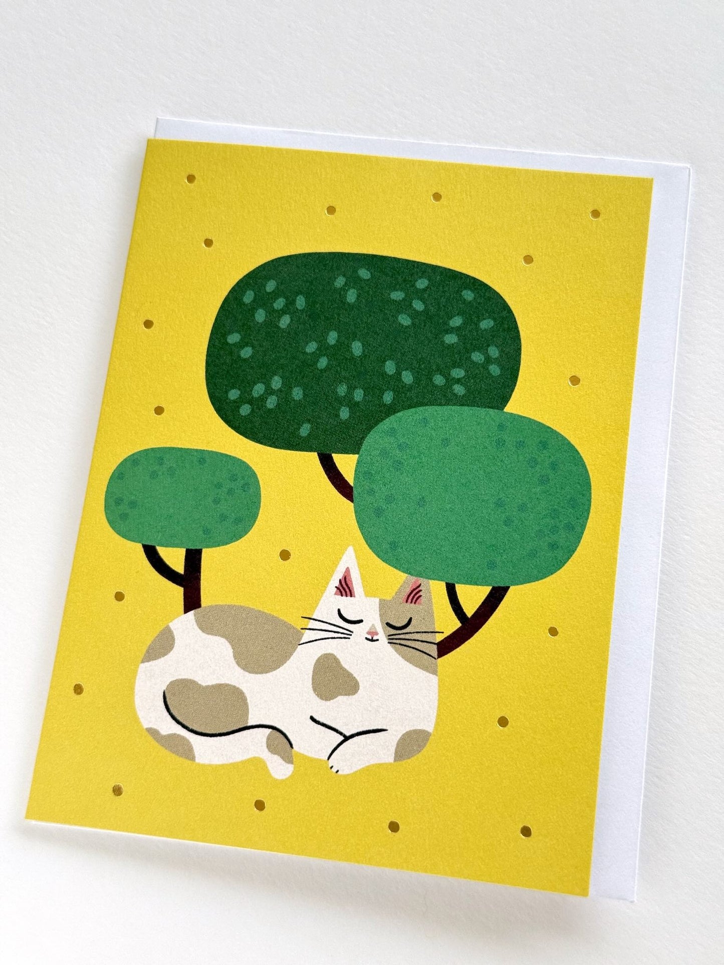 Carte | Chat et jardin japonais